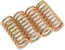 Load image into Gallery viewer, Barnett Clutch Spring Set 501-75-04005 - Main Product View