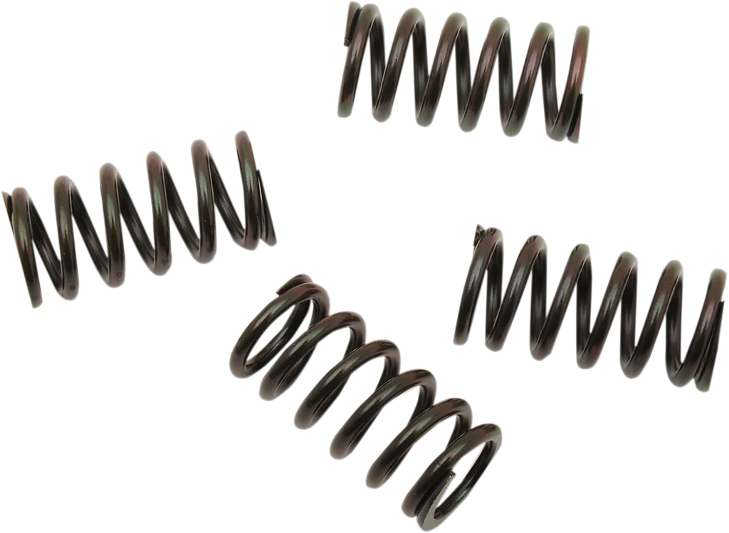 Barnett Clutch Spring Set 501-85-04120 - Main Product View
