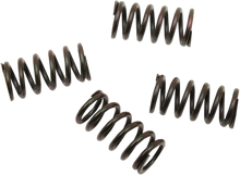 Load image into Gallery viewer, Barnett Clutch Spring Set 501-85-04120 - Main Product View
