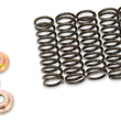 Load image into Gallery viewer, Barnett Clutch Spring Set 505-42-06031 - Main Product View