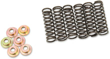 Load image into Gallery viewer, Barnett Clutch Spring Set 505-42-06031 - Main Product View