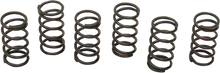 Load image into Gallery viewer, Barnett Clutch Springs - Main Product View