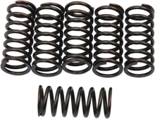 Load image into Gallery viewer, Barnett Clutch Springs - Main Product View