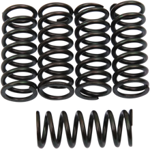 Load image into Gallery viewer, Barnett Clutch Springs - Main Product View
