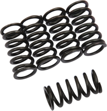 Load image into Gallery viewer, Barnett Clutch Springs - Main Product View