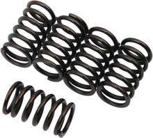 Load image into Gallery viewer, Barnett Clutch Springs - Main Product View