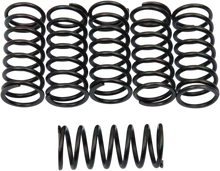 Load image into Gallery viewer, Barnett Clutch Springs - Main Product View