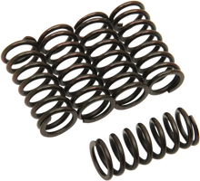 Load image into Gallery viewer, Barnett Clutch Springs - Main Product View