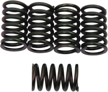 Load image into Gallery viewer, Barnett Clutch Springs - Main Product View
