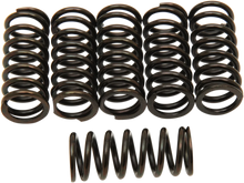 Load image into Gallery viewer, Barnett Clutch Springs - Main Product View
