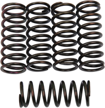 Load image into Gallery viewer, Barnett Clutch Springs - Main Product View