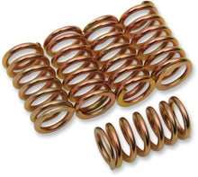 Load image into Gallery viewer, Barnett Clutch Springs - Main Product View