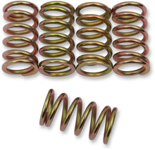 Load image into Gallery viewer, Barnett Clutch Springs - Main Product View