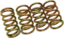 Load image into Gallery viewer, Barnett Clutch Springs - Main Product View
