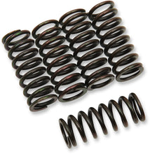 Load image into Gallery viewer, Barnett Clutch Springs - Main Product View