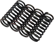 Load image into Gallery viewer, Barnett Clutch Springs - Main Product View