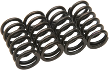 Load image into Gallery viewer, Barnett Clutch Springs - Main Product View
