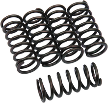 Load image into Gallery viewer, Barnett Clutch Springs - Main Product View