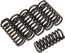Load image into Gallery viewer, Barnett Clutch Springs - Main Product View