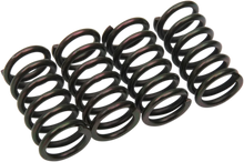 Load image into Gallery viewer, Barnett Clutch Springs - Main Product View