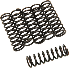 Load image into Gallery viewer, Barnett Clutch Springs - Main Product View