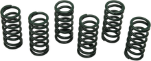 Load image into Gallery viewer, Barnett Clutch Springs - Main Product View