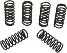 Load image into Gallery viewer, Barnett Clutch Springs 501-38-06118 - Main Product View