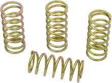 Load image into Gallery viewer, Barnett Clutch Springs 501-40-04095 - Main Product View