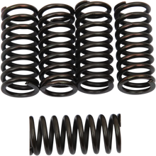 Load image into Gallery viewer, Barnett Clutch Springs 501-40-05039 - Main Product View