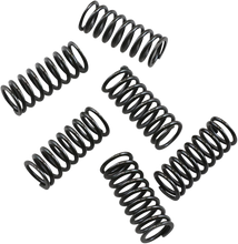 Load image into Gallery viewer, Barnett Clutch Springs 501-50-06053 - Side View