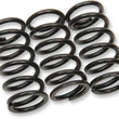 Load image into Gallery viewer, Barnett Clutch Springs 501-58-03121 - Main Product View