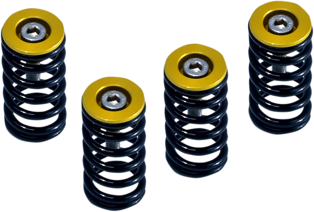 Barnett Clutch Springs 519-25-06090 - Main Product View