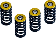 Load image into Gallery viewer, Barnett Clutch Springs 519-25-06090 - Main Product View