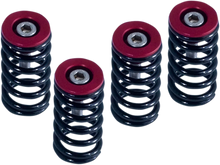 Load image into Gallery viewer, Barnett Clutch Springs 519-25-06090 - Side View