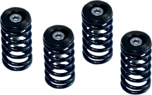 Load image into Gallery viewer, Barnett Clutch Springs 519-25-06095 - Main Product View