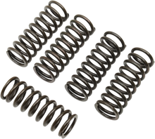 Load image into Gallery viewer, Barnett Spring Set - Main Product View