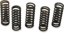 Load image into Gallery viewer, Barnett Spring Set - Main Product View