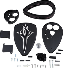 Load image into Gallery viewer, Baron Custom Accessories Big Air Kit - Pinstripe - Black BA-2070-13B - Side View