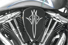 Load image into Gallery viewer, Baron Custom Accessories Big Air Kit - Pinstripe - Black BA-2074-13B - Main Product View