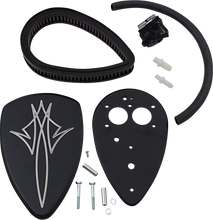 Load image into Gallery viewer, Baron Custom Accessories Big Air Kit - Pinstripe - Black BA-2074-13B - Side View