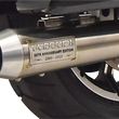 Load image into Gallery viewer, Bassani 50th Anniversary 2:1 Exhaust - Stainless Steel - M8 FL 1F50SS - Side View
