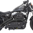 Load image into Gallery viewer, Bassani Radial Sweeper Exhaust - Black - '14-'19 XL 1X2FB - Main Product View
