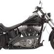 Load image into Gallery viewer, Bassani Radial Sweeper Exhaust - Black 1SD1FB - Main Product View