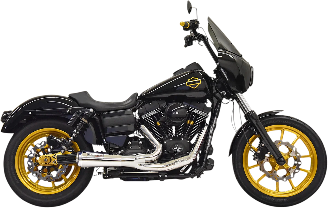 Bassani Ripper 2:1 Exhaust System - Black 1D6B - Side View