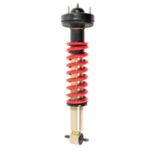 Load image into Gallery viewer, Belltech 15-20 Ford F-150 0-2in Front Leveling Coilover Kit - Additional View 6
