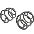 Load image into Gallery viewer, Belltech COIL SPRING SET 63-72 CHEVROLET C-10 - Additional View 5