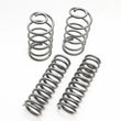 Load image into Gallery viewer, Belltech MUSCLE CAR SPRING KITS CHEVROLET 73-77 A-Body - Back View