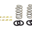 Load image into Gallery viewer, Belltech PRO COIL SPRING SET 07+ GM/GMC 1500 EXT/CREW - Main Product View
