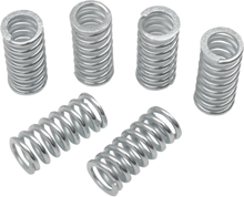 Load image into Gallery viewer, Belt Drives Clutch Springs - 6 Pack ECS-100 - Main Product View