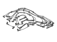 Load image into Gallery viewer, Beru Spark Plug Wire Set ZEF601